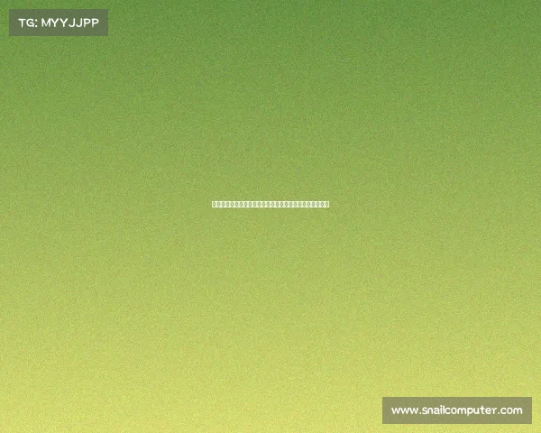 全新视角下的韩国电竞论坛:发展趋势与多元文化交流探析